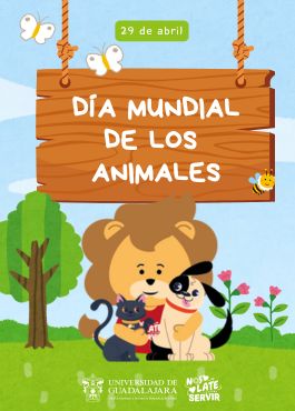 DMDA